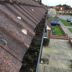 Gutter filled with moss before cleaning, Colchester, Essex
